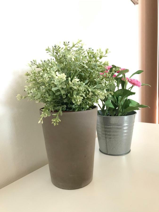 SalionzeCasa Giulia公寓 外观 照片